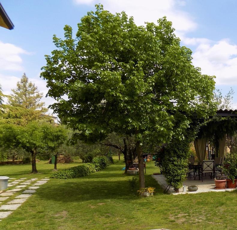 לינה וארוחת בוקר SantʼAmbrogio di Valpolicella Due Archi מראה חיצוני תמונה