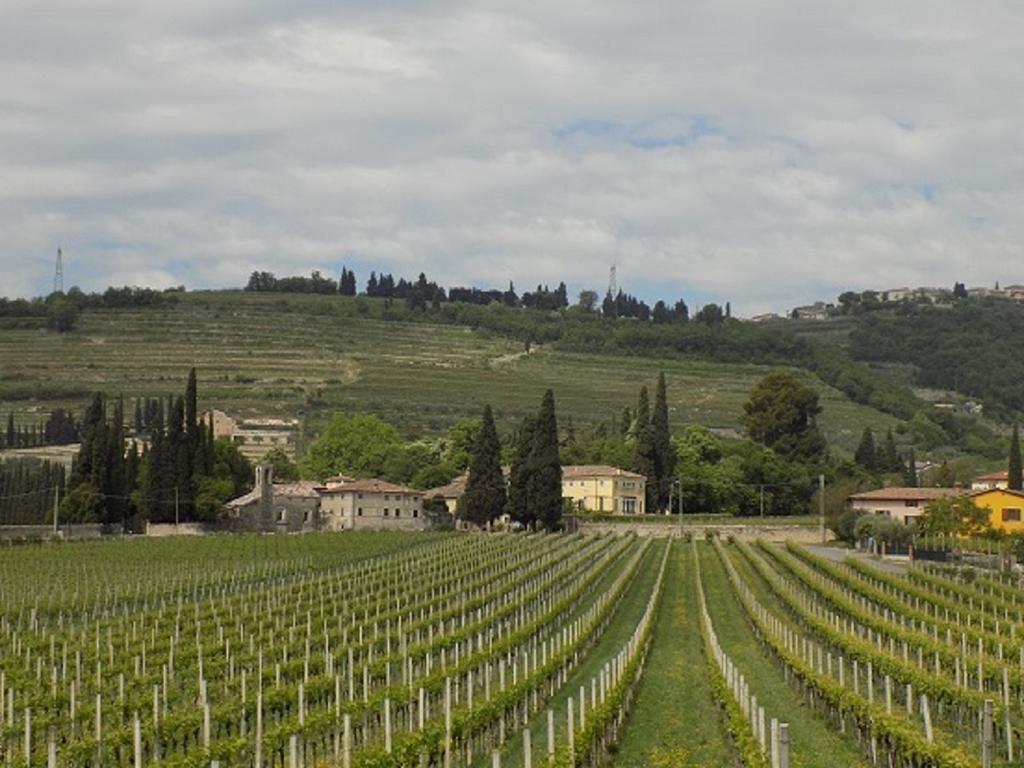 לינה וארוחת בוקר SantʼAmbrogio di Valpolicella Due Archi מראה חיצוני תמונה